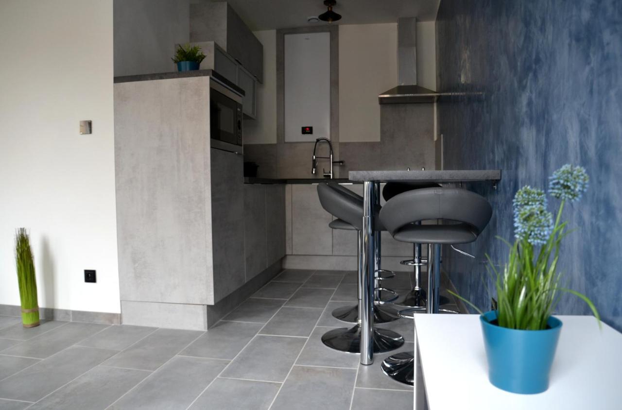 Le Cyclade, Appartement De Standing En Hyper-Centre. Sarreguemines Exterior photo